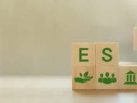 El Poder de ESG en el Mundo Empresarial: Cómo la Sostenibilidad Está Transformando la Inversión y la Responsabilidad&nbsp;Corporativa