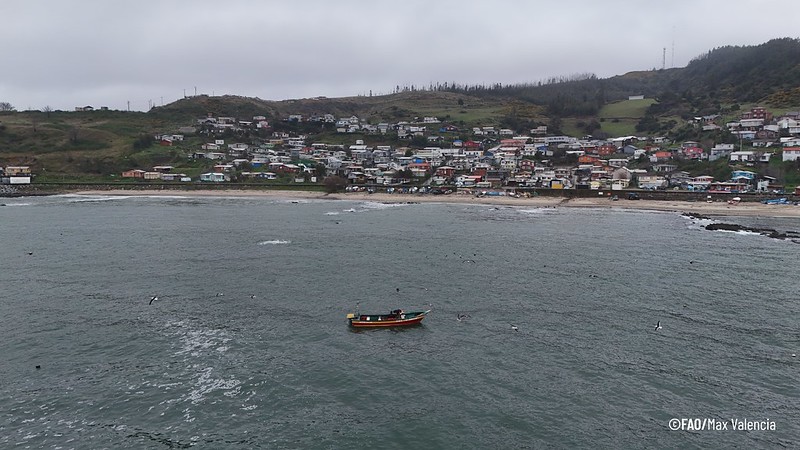 Carapacheras de Punta Lavapié: Innovación para reducir pérdidas de crustáceos en Chile