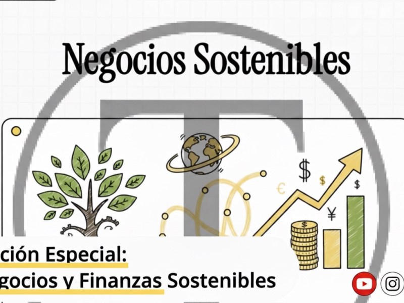 Especial sobre Negocios y Finanzas&nbsp;Sostenibles