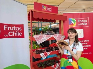 Fotografías de ETM day 2025