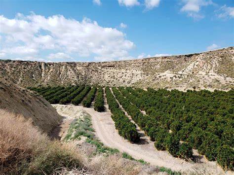 Hay que agilizar la gestión administrativa para destrabar la inversión sin sacrificar el medio ambiente