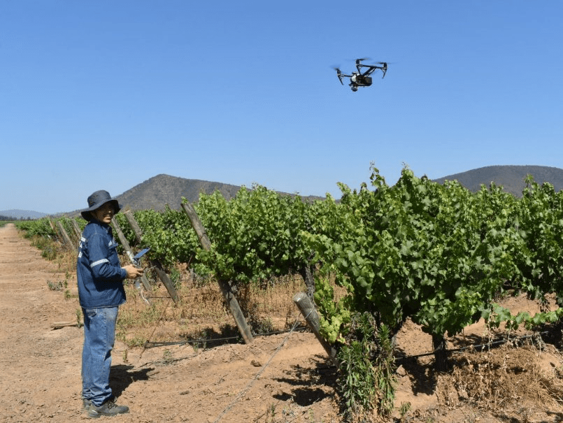 Viñedo chileno con sensores de suelo, estaciones meteorológicas y un dron en vuelo.